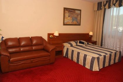 hotel *** - Hotel Court Wellness & Spa*** - zdjęcie 12