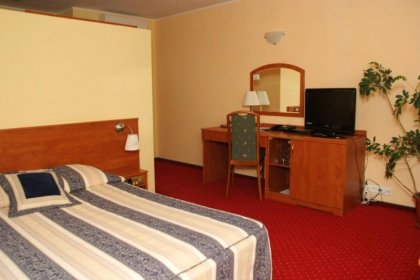 hotel *** - Hotel Court Wellness & Spa*** - zdjęcie 11