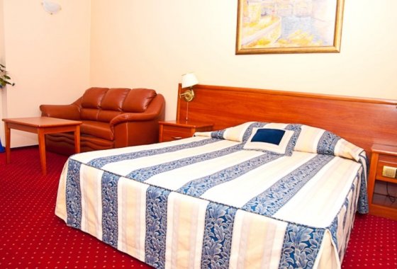 hotel *** - Hotel Court Wellness & Spa*** - Pokoje - zdjęcie 4