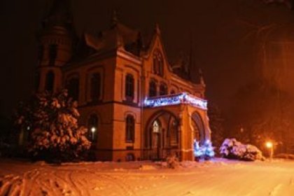 pałac - Restauracja Pałac Większyce - zdjęcie 1