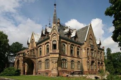 pałac - Restauracja Pałac Większyce - zdjęcie 2