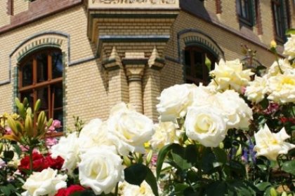 pałac - Restauracja Pałac Większyce - zdjęcie 4