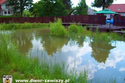 dworek - Dwór Zawiszy - zdjęcie 24