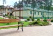hotel *** - Vitalia Hotel & Resort*** - zdjęcie 7