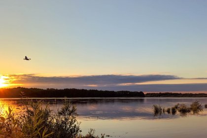 hotel *** - Vitalia Hotel & Resort*** - zdjęcie 26