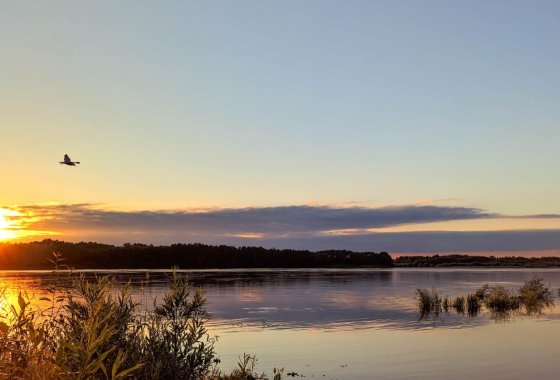 hotel *** - Vitalia Hotel & Resort*** - Usługi - zdjęcie 2