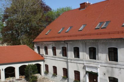 zamek - Zamek Królewski we Wschowie - zdjęcie 1