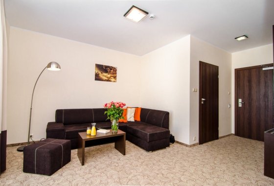 hotel *** - Hotel Emocja SPA - Pokoje - zdjęcie 11