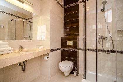 hotel *** - Hotel Emocja SPA - zdjęcie 16