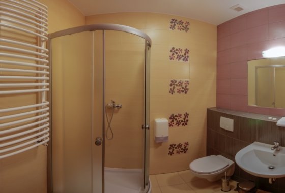hotel *** - Zajazd u Dziadka - Pokoje - zdjęcie 4