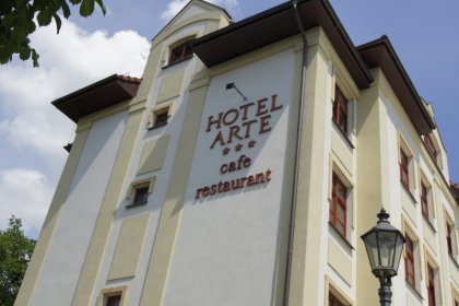 hotel *** - Hotel Arte*** - zdjęcie 7