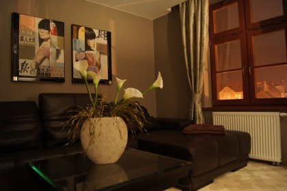 hotel *** - Hotel Arte*** - zdjęcie 11