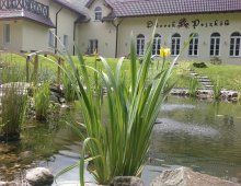 Dworek Peszków