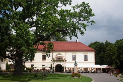 zamek - Zamek Dubiecko - zdjęcie 5