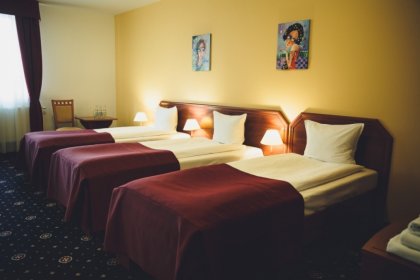 hotel *** - Hotel Grein*** - zdjęcie 8