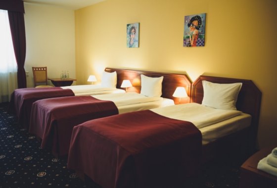 hotel *** - Hotel Grein*** - Pokoje - zdjęcie 4