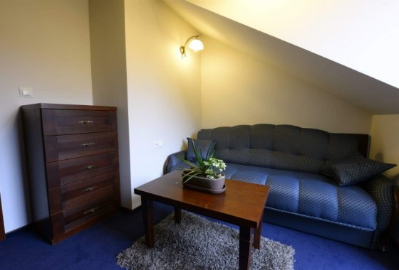 hotel - Hotel Fryderyk - Pokoje - zdjęcie 1