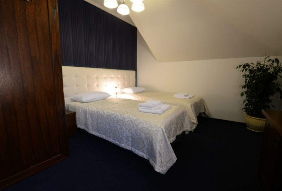 hotel - Hotel Fryderyk - Pokoje - zdjęcie 2