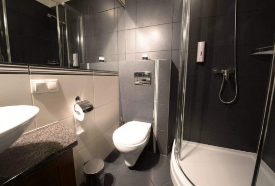 hotel - Hotel Fryderyk - Pokoje - zdjęcie 4