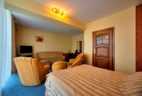 hotel - Hotel** i Restauracja Sezam w Kraczkowej - Pokoje - zdjęcie 6
