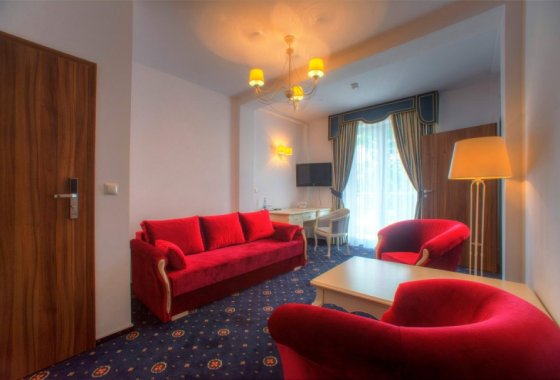 hotel *** - Hotel Łańcut*** - Pokoje - zdjęcie 6