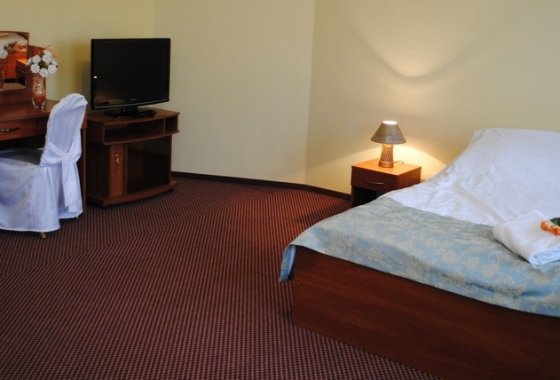 hotel - Hotel Stary Młyn - Pokoje - zdjęcie 2