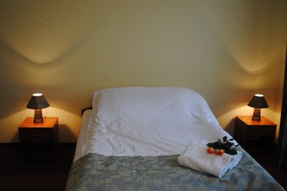 hotel - Hotel Stary Młyn - zdjęcie 9