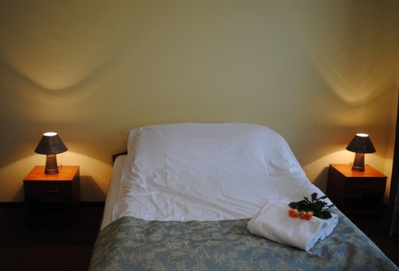 hotel - Hotel Stary Młyn - Pokoje - zdjęcie 3