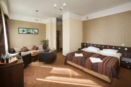 hotel ***** - Hotel*** Spa Odeon - zdjęcie 5