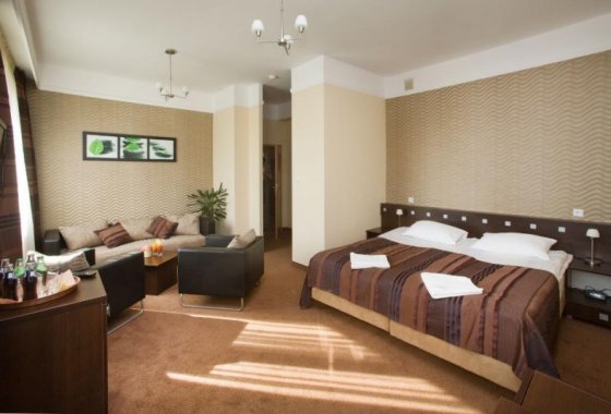 hotel ***** - Hotel*** Spa Odeon - Pokoje - zdjęcie 2