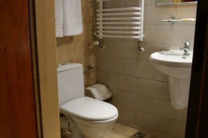 pensjonat - Gościniec Dębowa Gazdówka - zdjęcie 9