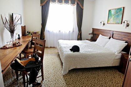 hotel *** - Hotel Chutor Kozacki - zdjęcie 10