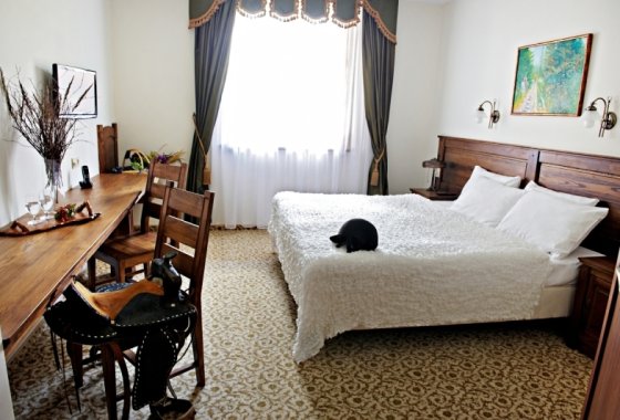 hotel *** - Hotel Chutor Kozacki - Pokoje - zdjęcie 2