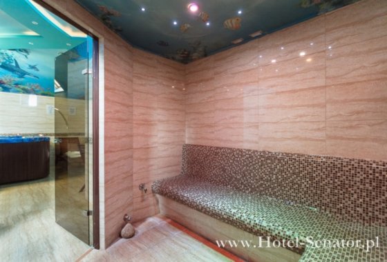 hotel *** - Hotel Senator Gran Via - Usługi - zdjęcie 2