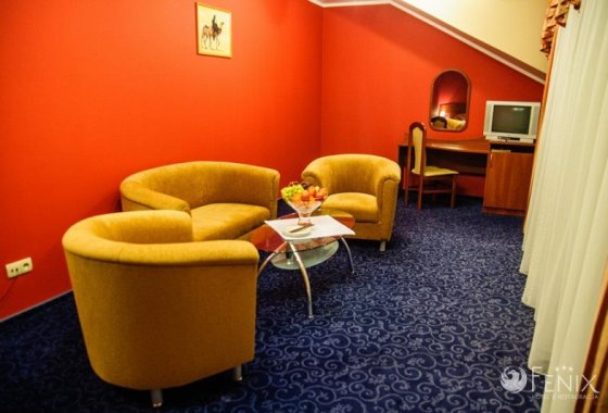 hotel *** - Hotel Fenix*** - Pokoje - zdjęcie 3
