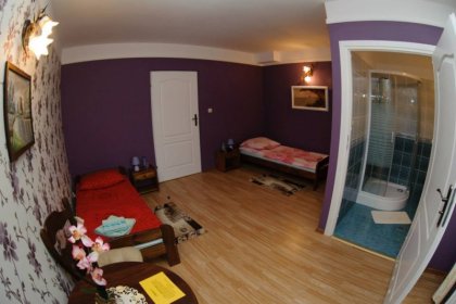 hotel - Hotel Antyczny Dwór - zdjęcie 9