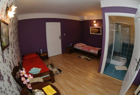 hotel - Hotel Antyczny Dwór - Pokoje - zdjęcie 3