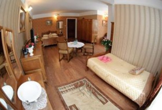 hotel - Hotel Antyczny Dwór - Pokoje - zdjęcie 5
