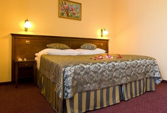 hotel *** - Hotel Nowy Dwór*** Zaczernie - Pokoje - zdjęcie 3
