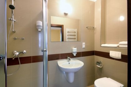 hotel *** - Hotel Chopin*** - zdjęcie 11