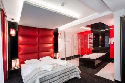 hotel *** - Hotel Zimowit*** - zdjęcie 6