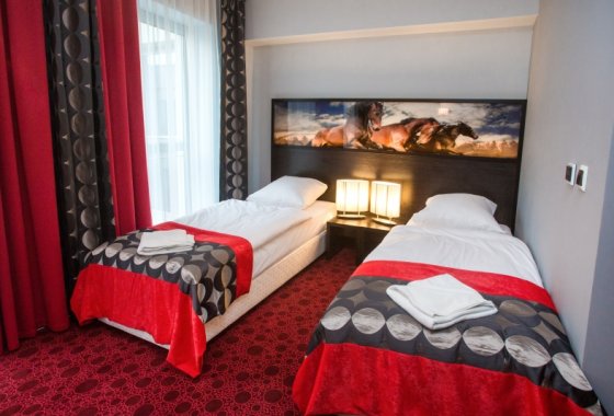 hotel *** - Hotel Zimowit*** - Pokoje - zdjęcie 6