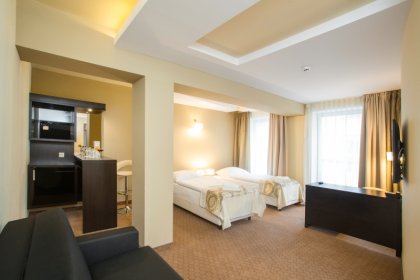 hotel *** - Hotel Zimowit*** - zdjęcie 9