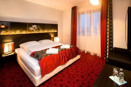 hotel *** - Hotel Zimowit*** - zdjęcie 21