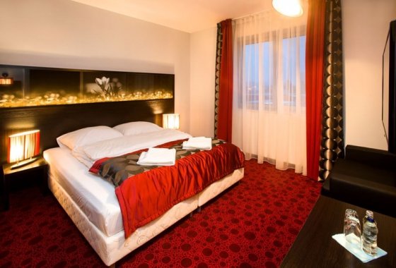 hotel *** - Hotel Zimowit*** - Pokoje - zdjęcie 13