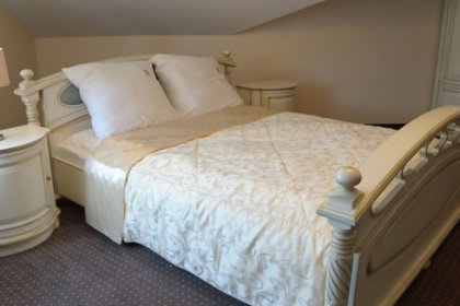 hotel *** - Hotel & Restauracja Dworek - zdjęcie 6