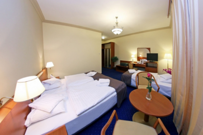 hotel **** - Korona Park - zdjęcie 6