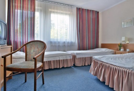 hotel - Hostel Augustów - Pokoje - zdjęcie 3