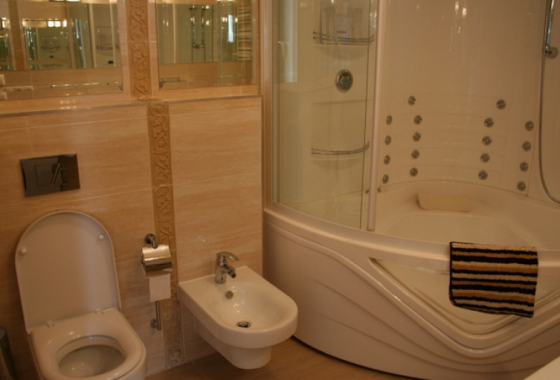 hotel - Zajazd Polonia - Pokoje - zdjęcie 3