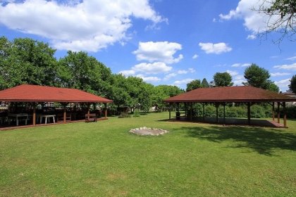 hotel *** - Hotel *** Knieja - zdjęcie 1